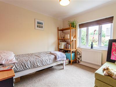 Picture 23